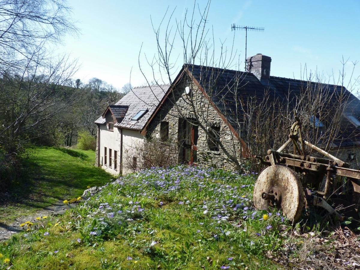 Ceridwen Holiday Homes Llandysul Kültér fotó